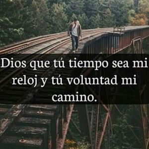 Meet your Posher, Ale